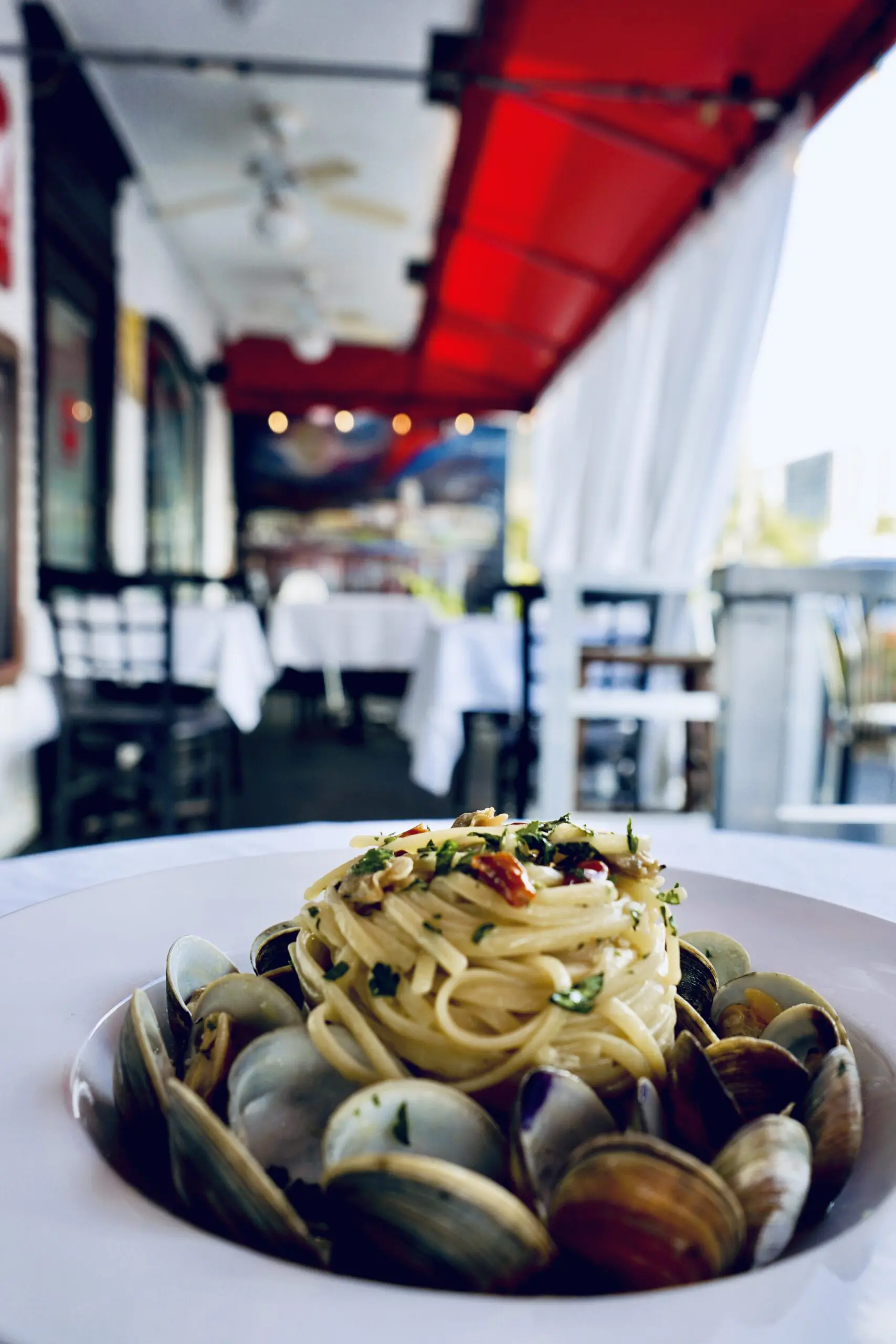 Outdoor Seafood pasta in Ft Lauderdale Outdoor Seafood pasta in Ft Lauderdale